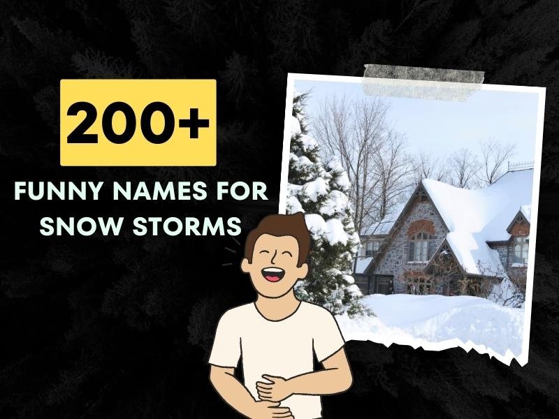 200-funny-names-for-snow-storms-hilarious-names-unveiled