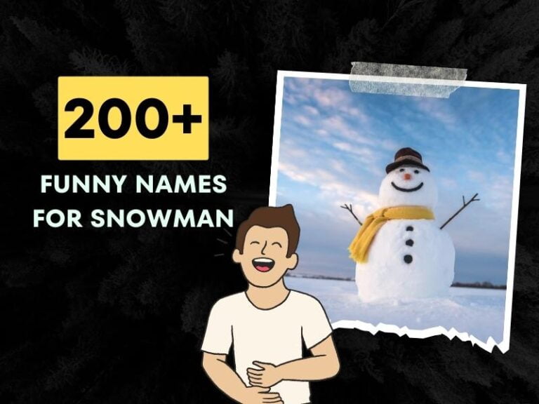 200 Funny Names For Snowman Punny Ideas 