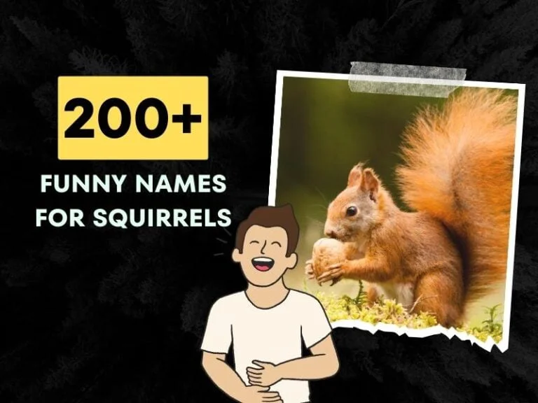 200+ Funny Names For Squirrel (Connect with Nature Comedians)