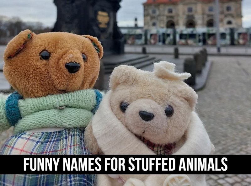 Funny Names For Stuffed Animals