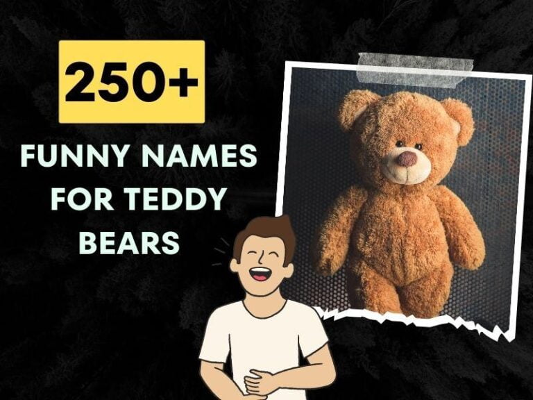 Funny Names For Teddy Bears