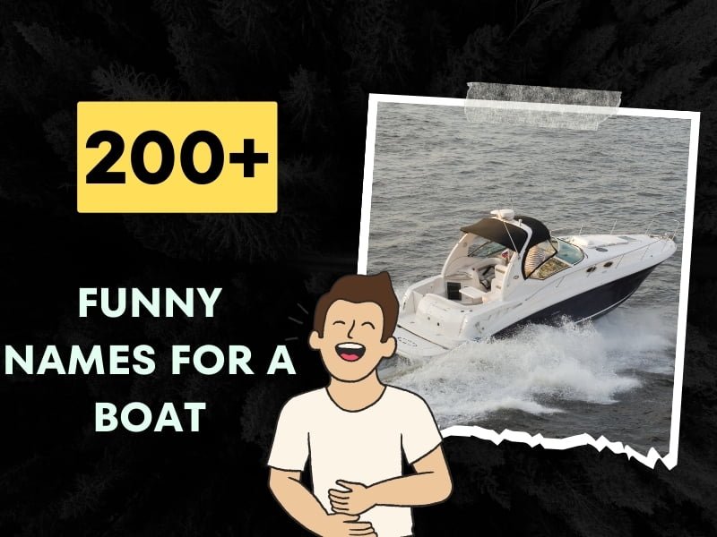 200+ Funny Boat Names to Make You Laugh