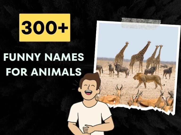 300-funny-names-for-animals-the-craziest-and-hilarious-ideas