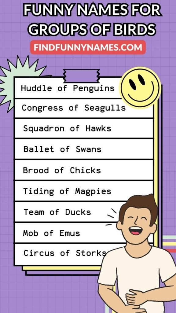 250-funny-names-for-groups-of-birds-laugh-as-they-fly-by