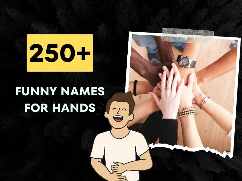 Funny Names for Hands