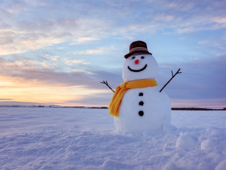 200-funny-names-for-snowman-punny-ideas