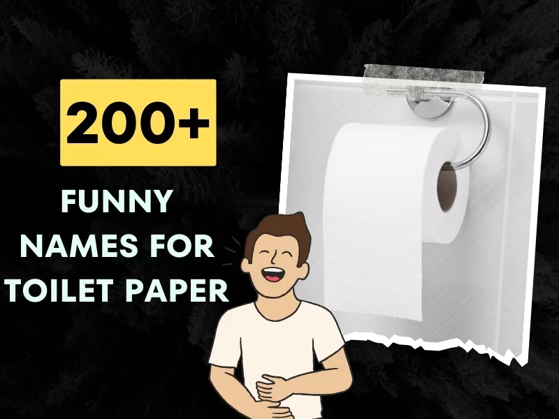 Funny Names for Toilet Paper