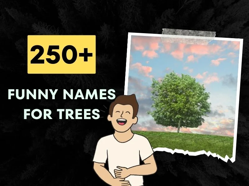 Funny Names for Trees