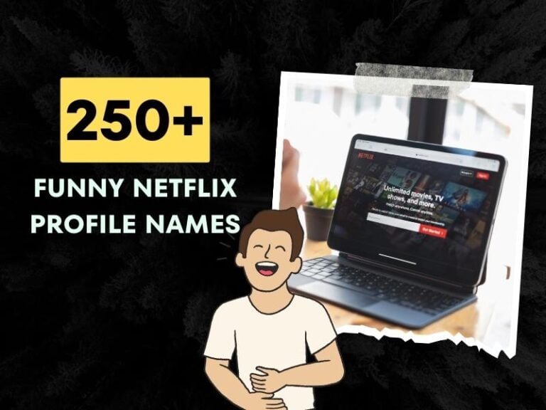 Funny Netflix Profile Names