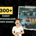 Funny Newfoundland Town Names