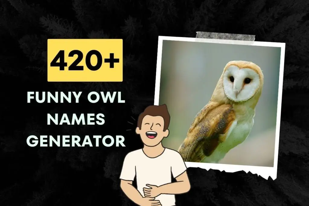 Funny Owl Names Generator