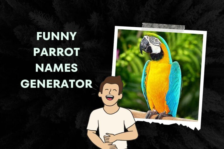 Funny Parrot Names Generator