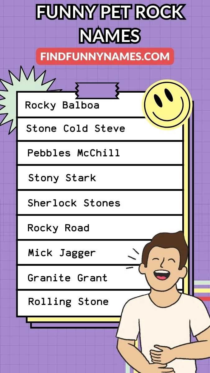 Funny Pet Rock Names Ideas List