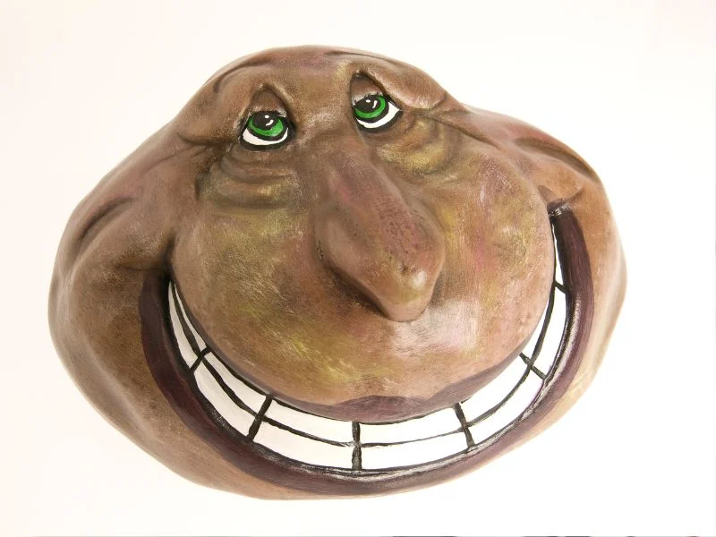 Funny Pet Rock Names Male