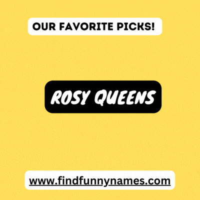 Our Favorite Pick.