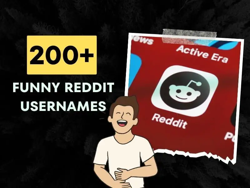 Funny Reddit Usernames