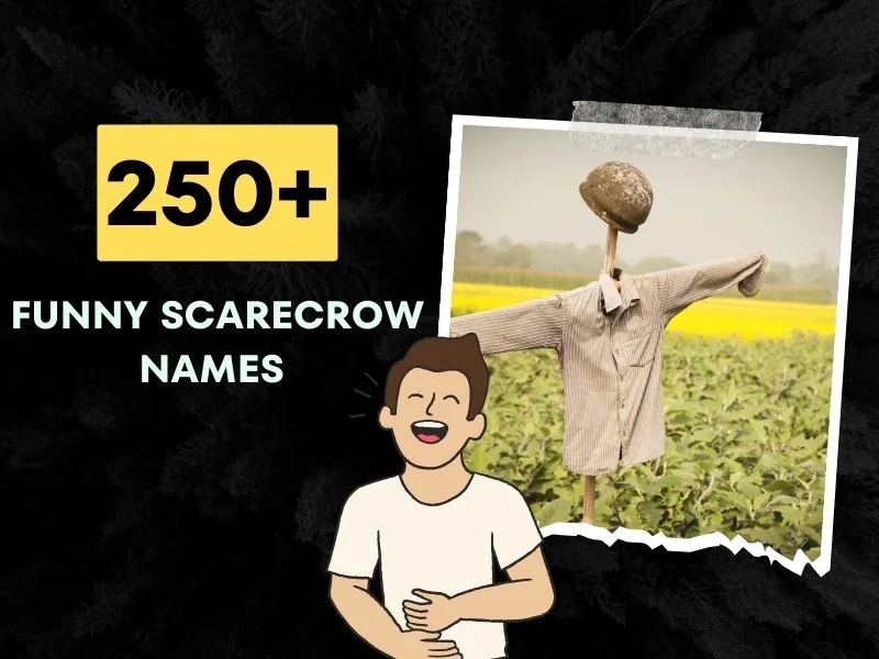 Funny Scarecrow Names