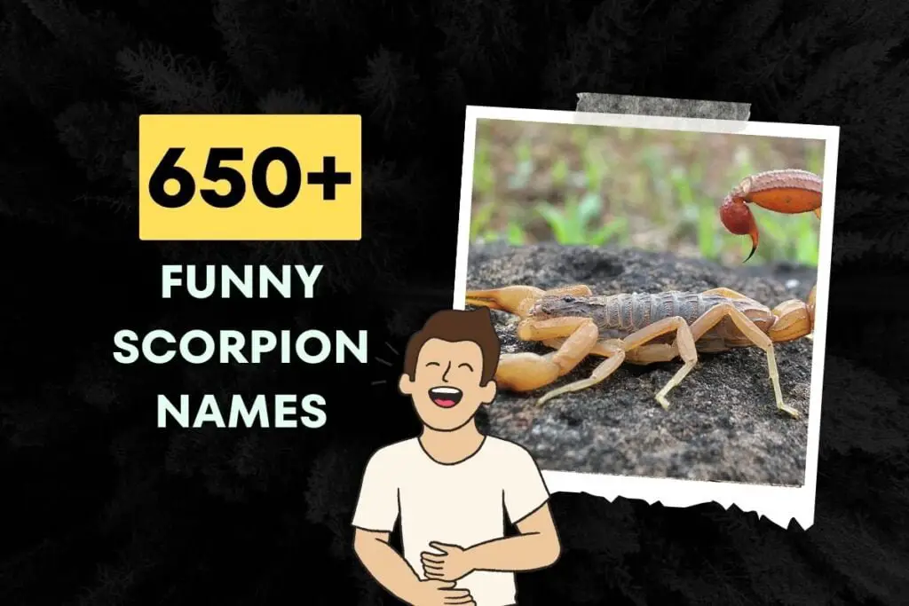 Funny Scorpion Names