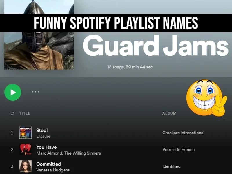 Funny Spotify playlist Names