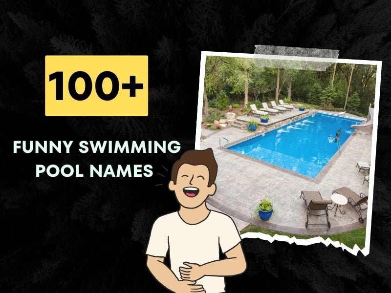 100+ Funny Swimming Pool Names (Dive into Joy!)