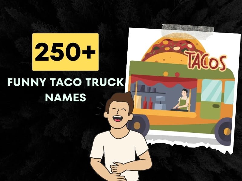 Funny Taco Truck Names Ideas