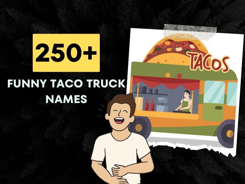 250+ Funny Taco Truck Names That'll Spice Up Your Day