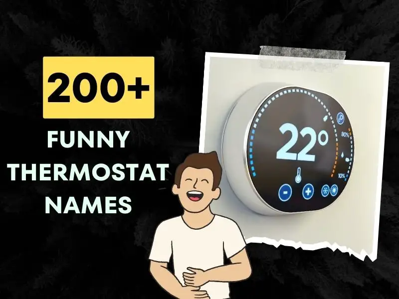 Funny Thermostat Names