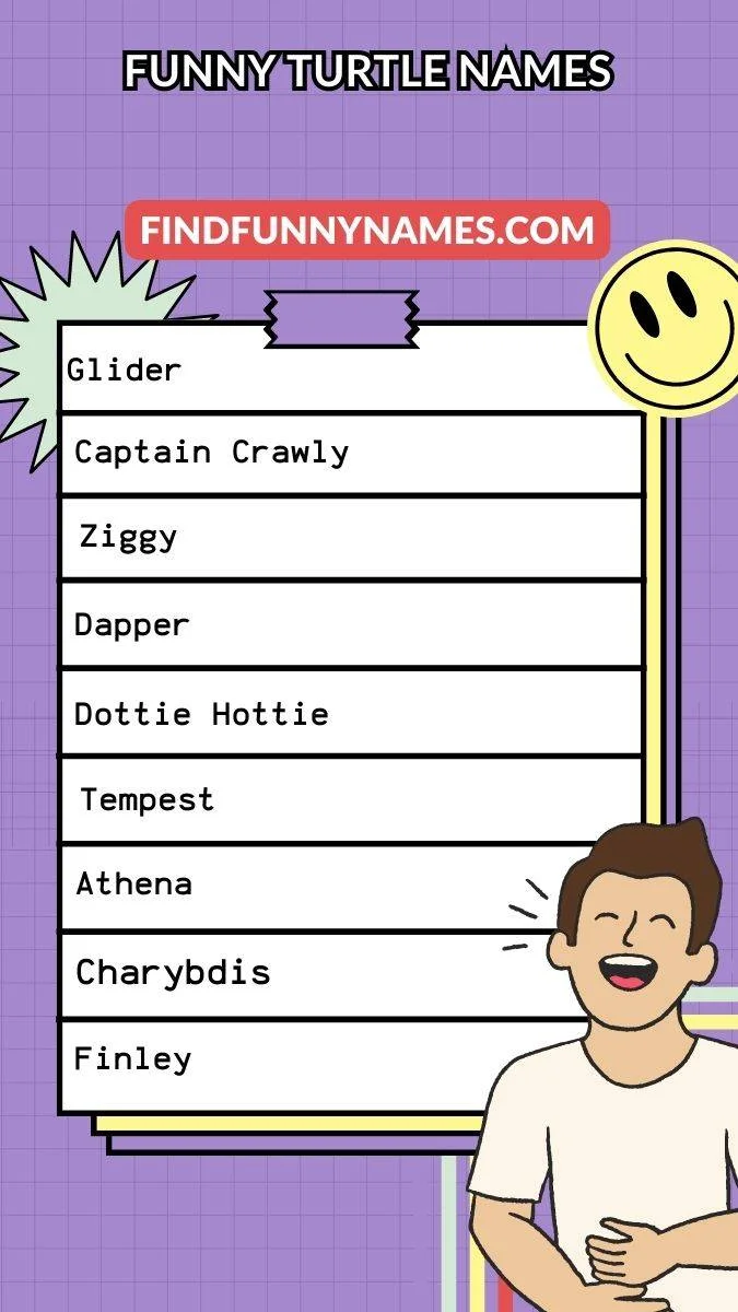 Funny Turtle Names Ideas List