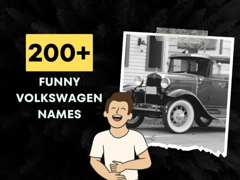 Funny Volkswagen Names