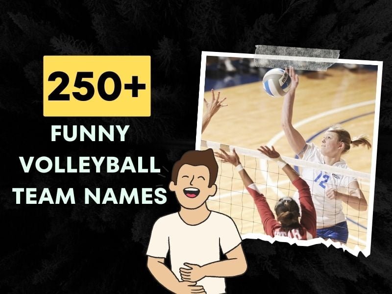 170+ Funny Volleyball Team Names (Hilarious Ideas!)