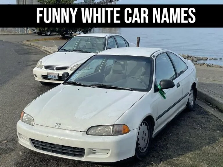 Funny Names For White Car