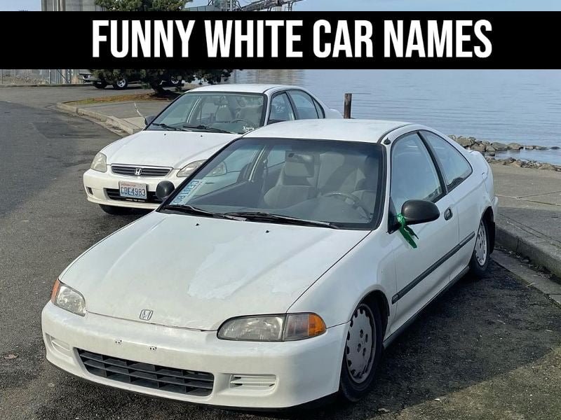 Funny White Car Names 100 Creative Hilarious Inspirations 