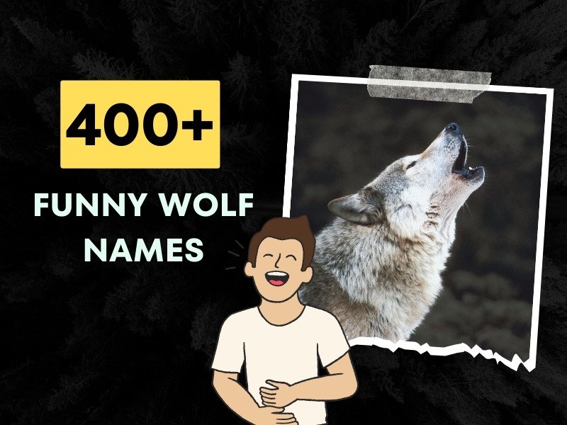 Funny Wolf Names