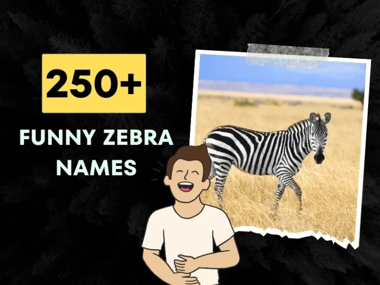 Funny-Zebra-Names