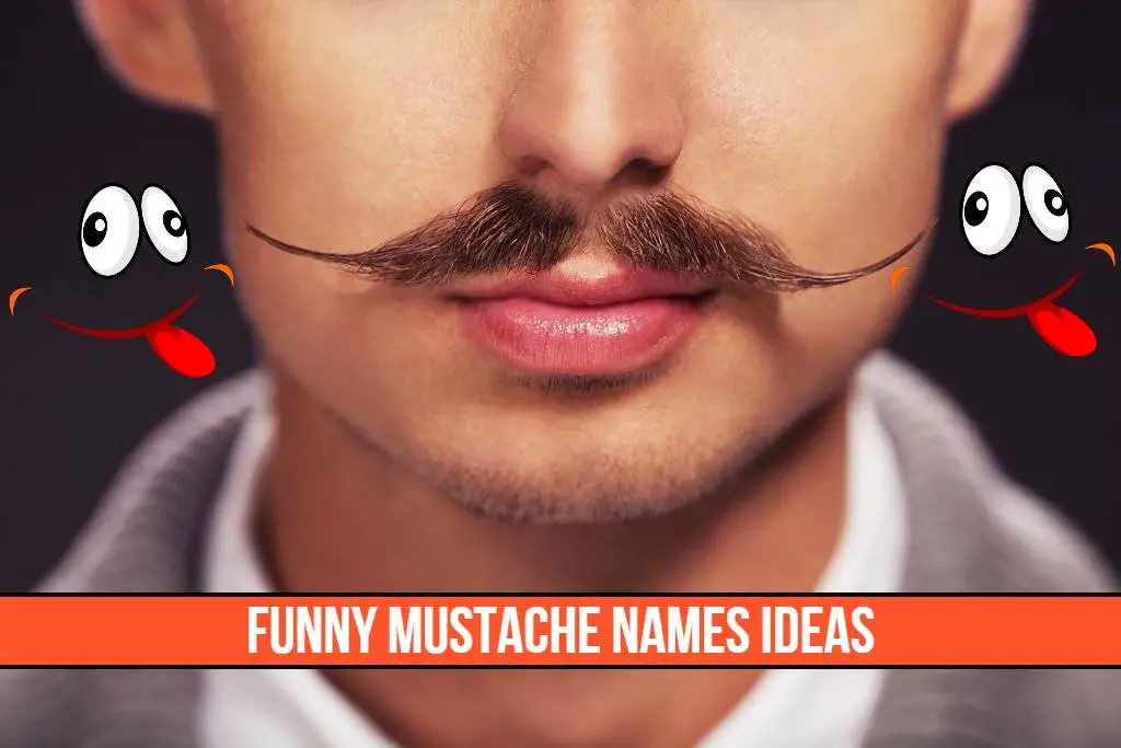 Funny mustache names