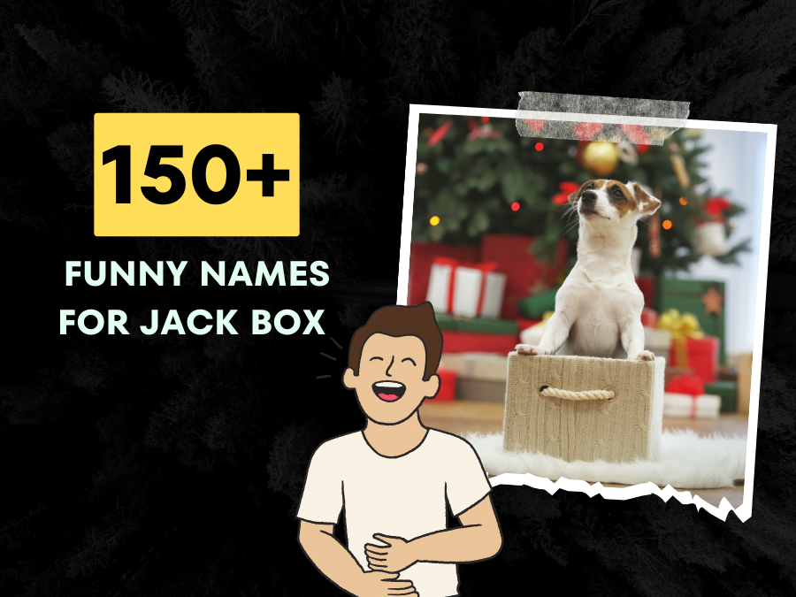 150+ Funny Names For Jack Box GutBusting Ideas!