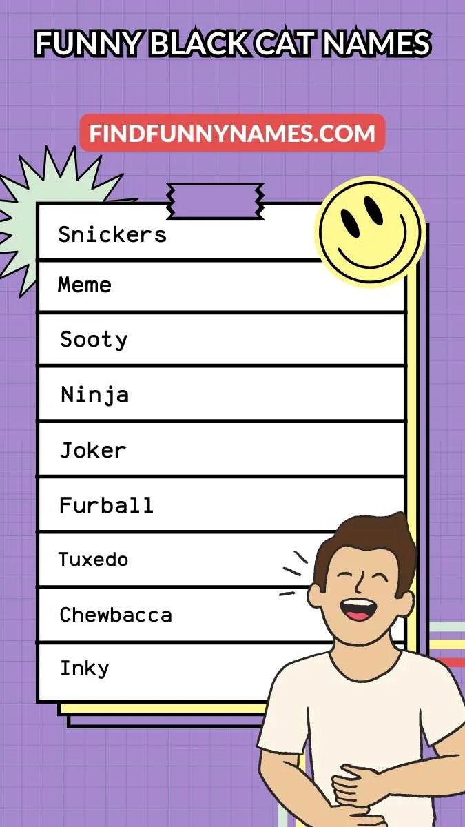Creative and Funny Black Cat Names Ideas List