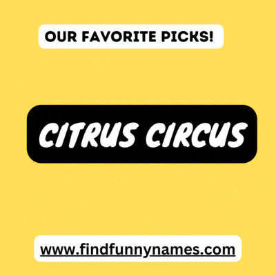 Our Favorite Funny Lemonade Stand Names 
