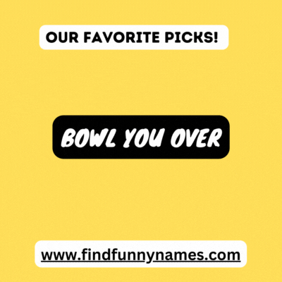 Top 6 Funny Lawn Bowls Team Names