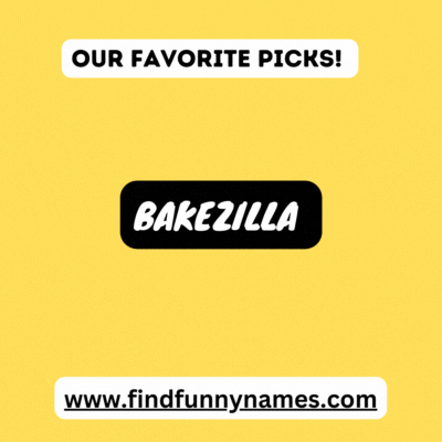 Top 6 Funny Names For Ovens