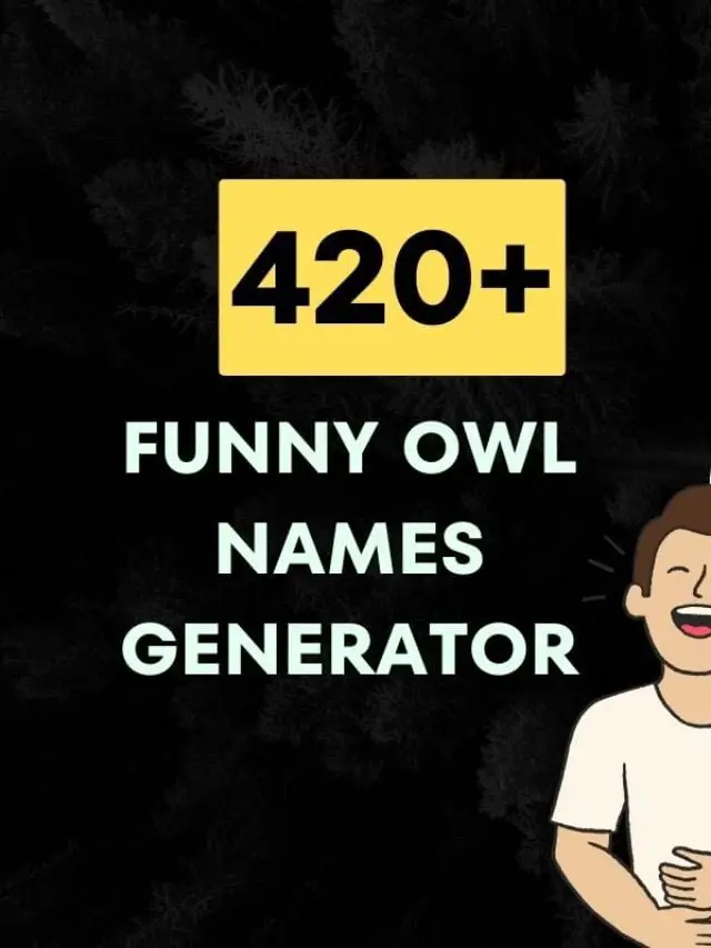420+ Funny Owl Names Generator (2024)