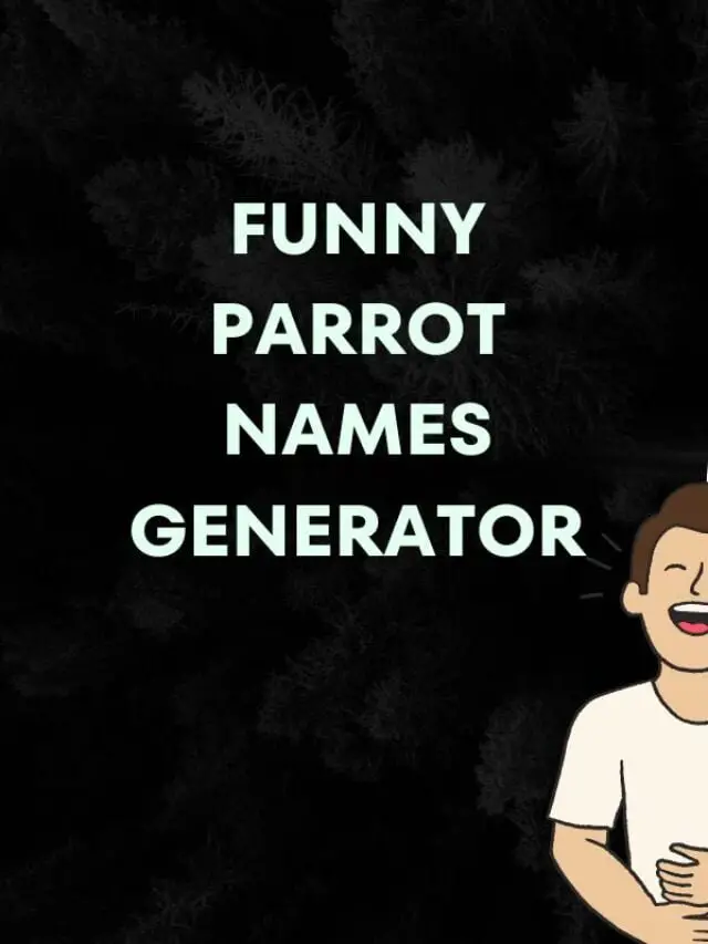 Funny Parrot Names Generator: 425+ Names (2024)