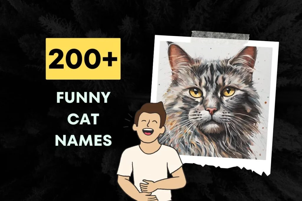 funny cat names