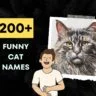 funny cat names