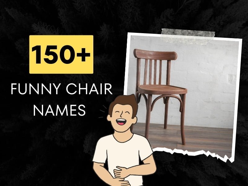 150 Funny Chair Names Take A Seat And Giggle 