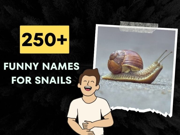 funny names for snails