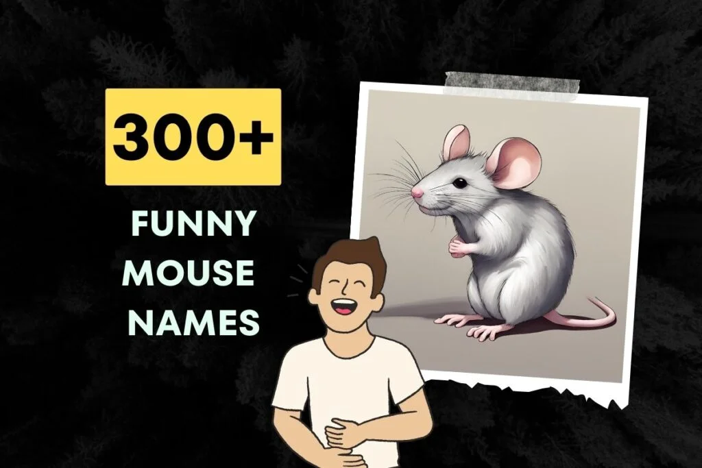 Funny Mouse Names Generator
